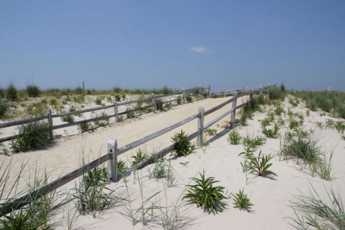 Cape May County Listed Among Top 6 Tourism Giants in the U.S.